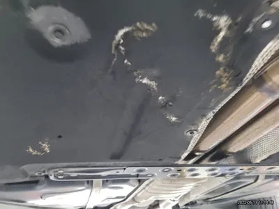 2015 BMW 550 WBA5D9100FD061781 VIN:WBA5D9100FD061781