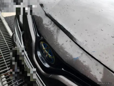 2019 Toyota Camry JTNB21HK0K3036458 VIN:JTNB21HK0K3036458