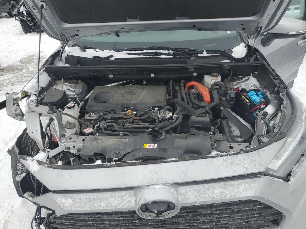 2022 TOYOTA RAV4 XLE VIN:4T3RWRFV8NU052704
