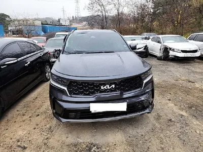 2022 Kia Sorento KNARH81GBNA101047 VIN:KNARH81GBNA101047