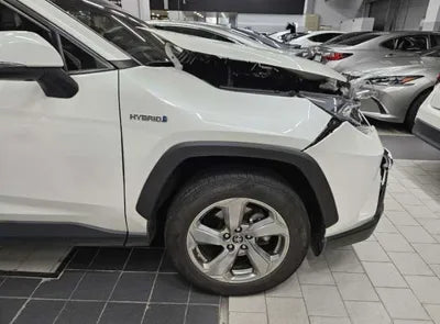 2019 Toyota RAV4 VIN: