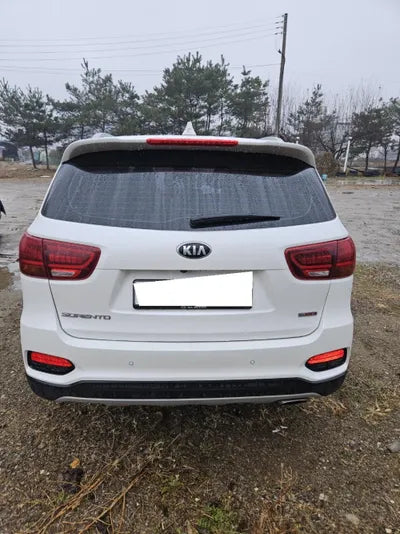 2019 Kia Sorento KNAPH811DLA630874 VIN:KNAPH811DLA630874