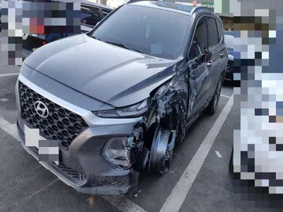 2018 Hyundai Santa FE KMHS281BBKU125996 VIN:KMHS281BBKU125996