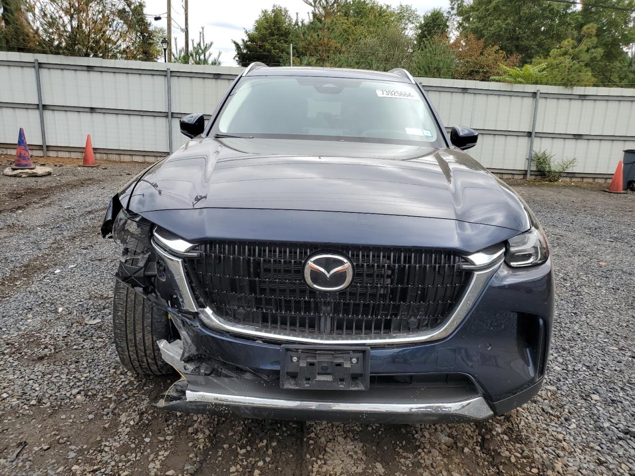 2024 MAZDA CX-90 PREMIUM VIN:JM3KKDHA9R1103939