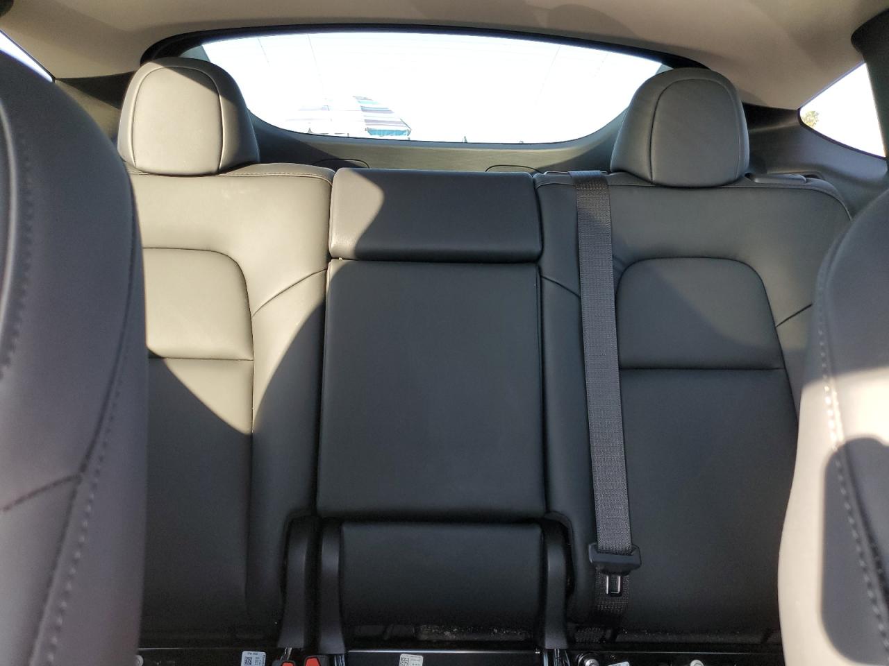 2023 TESLA MODEL Y  VIN:7SAYGDEEXPA057571