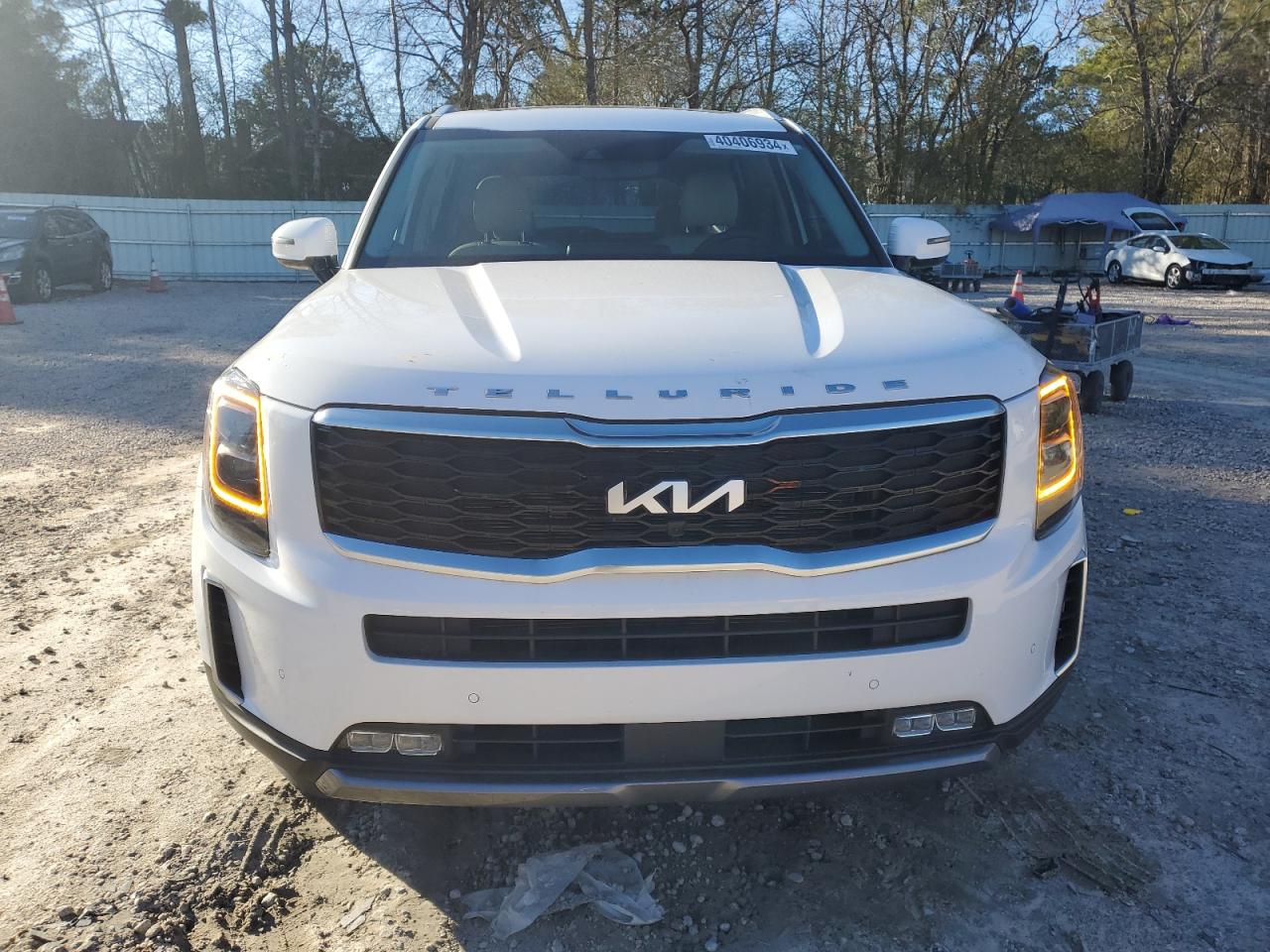 2022 KIA TELLURIDE SX VIN:5XYP5DHC0NG309099
