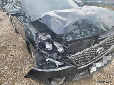 2016 Kia Sorento KNAPH81ABGA183724 VIN:KNAPH81ABGA183724
