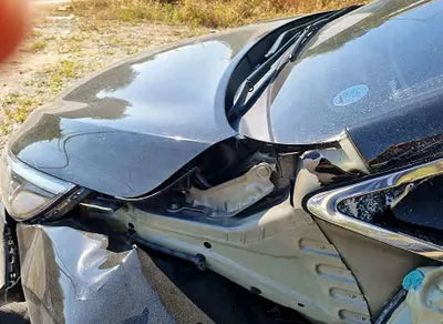 2019 Kia Carnival KNAMC81ABKS559805 VIN:KNAMC81ABKS559805
