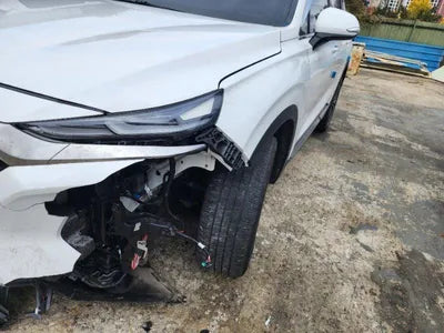 2019 Hyundai Santa FE KMHS381BBKU168509 VIN:KMHS381BBKU168509
