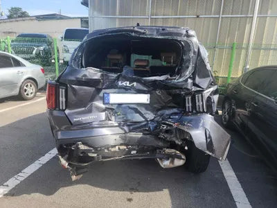 2023 Kia Sorento KNARK81GBPA191103 VIN:KNARK81GBPA191103