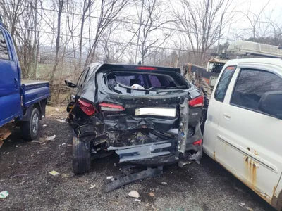 2017 Hyundai Santa FE KMHSW81UBJU827590 VIN:KMHSW81UBJU827590