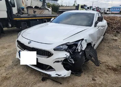 2019 Kia Stinger KNAE651BDKS045522 VIN:KNAE651BDKS045522