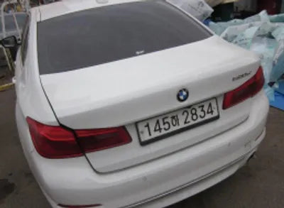 2020 BMW 520 WBAJF3109LWW54738 VIN:WBAJF3109LWW54738