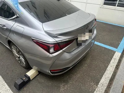 2021 Lexus ES 300 VIN: