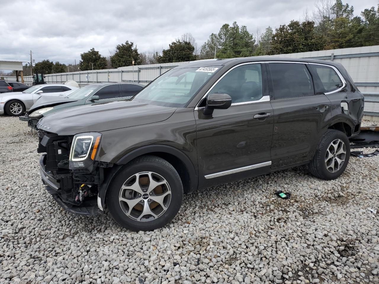 2022 KIA TELLURIDE EX VIN:5XYP34HC3NG240334