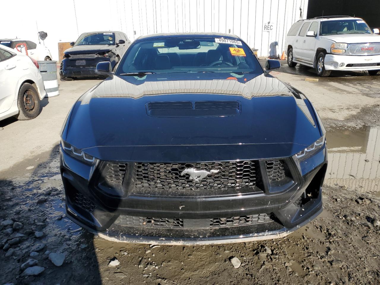 2024 FORD MUSTANG GT VIN:1FA6P8CF1R5427889