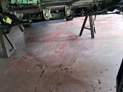 2019 Genesis G80 KMHGR41BDKU327554 VIN:KMHGR41BDKU327554