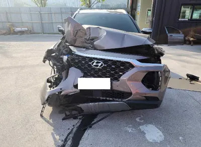 2020 Hyundai Santa FE KMHS381CDLU246684 VIN:KMHS381CDLU246684