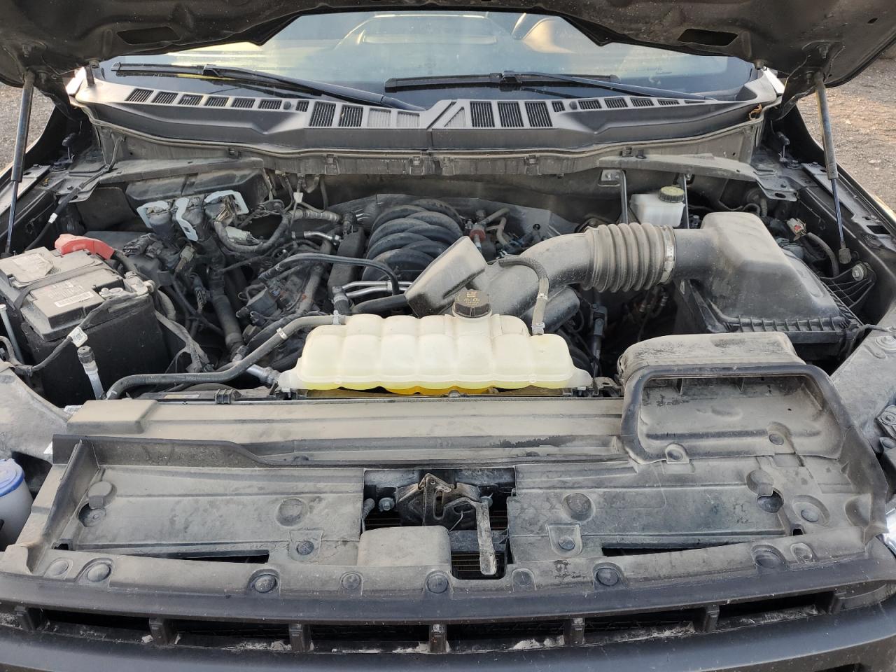 2023 FORD F150 SUPERCREW VIN:1FTFW1E56PKE09959