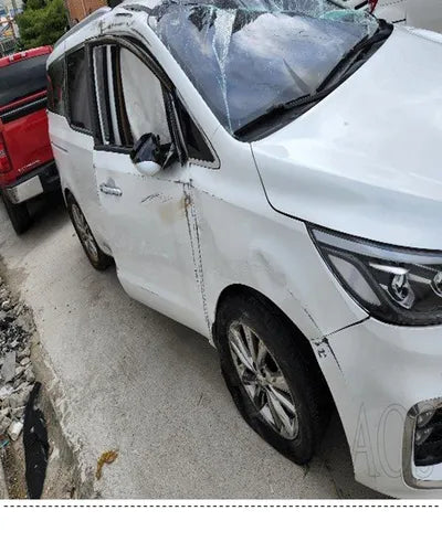 2019 Kia Carnival KNAME81ABKS590723 VIN:KNAME81ABKS590723