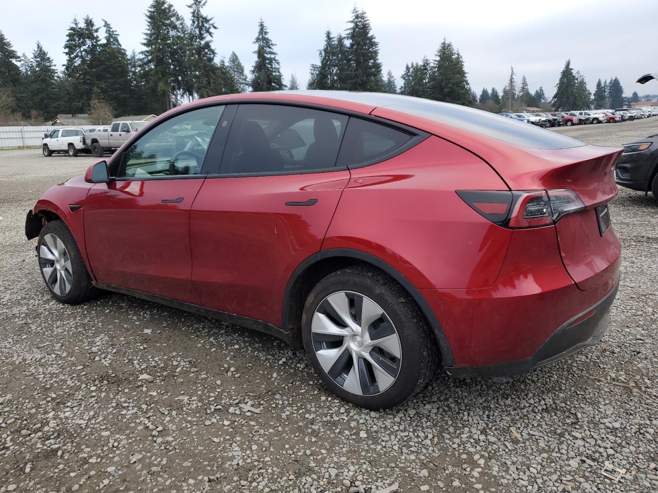 2024 TESLA MODEL Y  VIN:7SAYGDEE3RF014258
