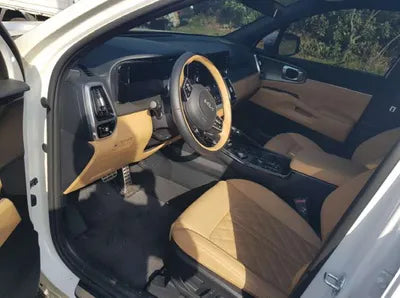 2021 Kia Sorento KNARK81BHNA133310 VIN:KNARK81BHNA133310