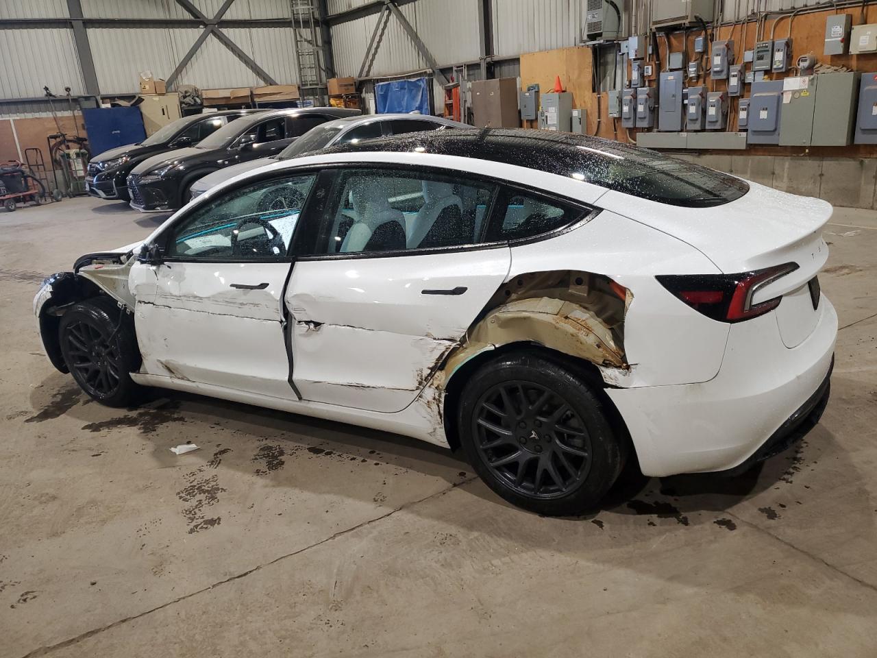2024 TESLA MODEL 3  VIN:LRW3E7FA7RC102508