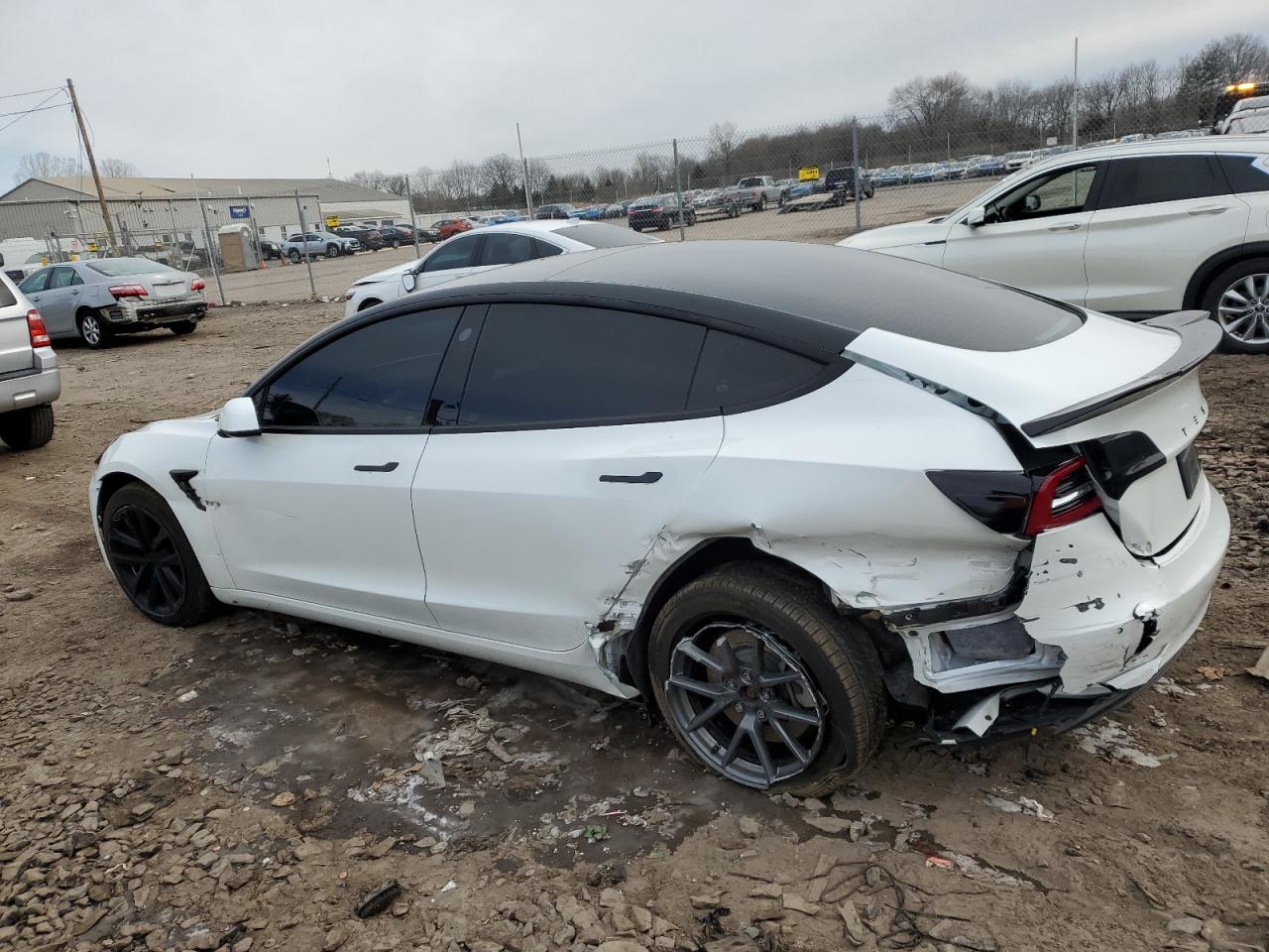 2022 TESLA MODEL 3  VIN:5YJ3E1EB4NF164276