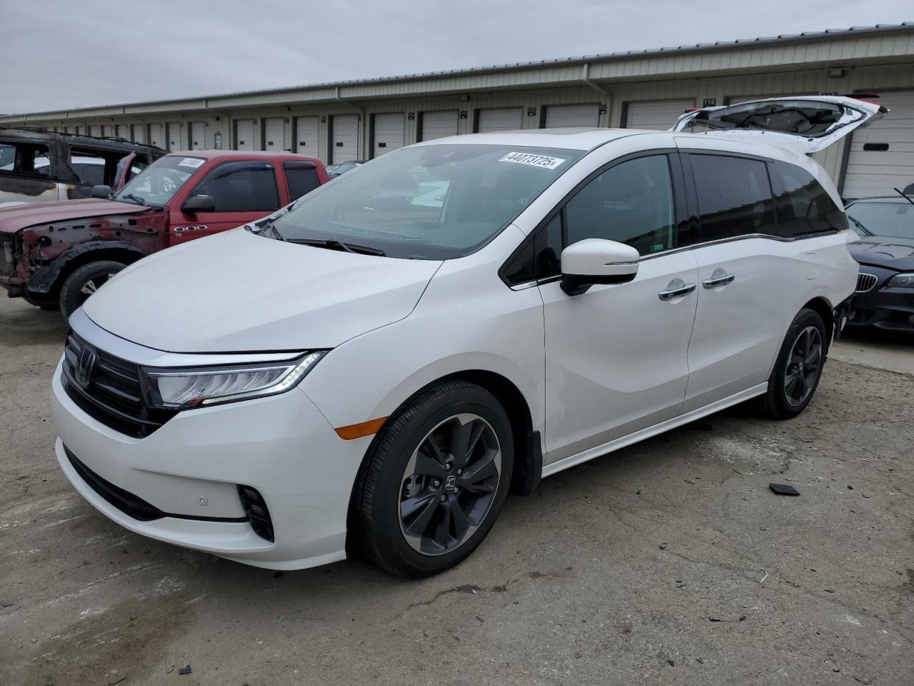 2024 HONDA ODYSSEY ELITE VIN:5FNRL6H91RB034256