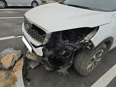 2019 Kia Sorento KNAPG81BDKA540068 VIN:KNAPG81BDKA540068