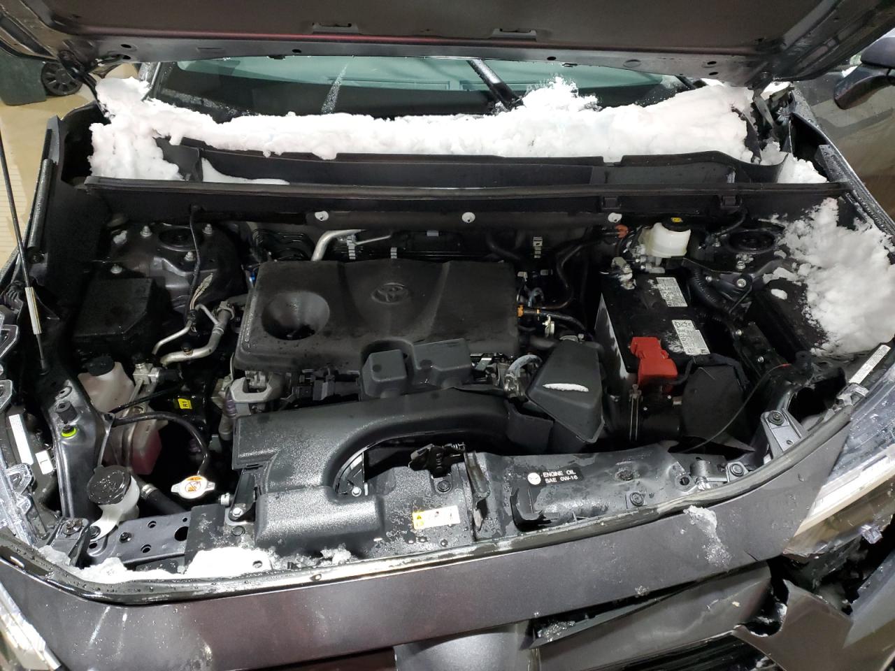 2023 TOYOTA RAV4 XLE VIN:1G4GC5EG2AF154860