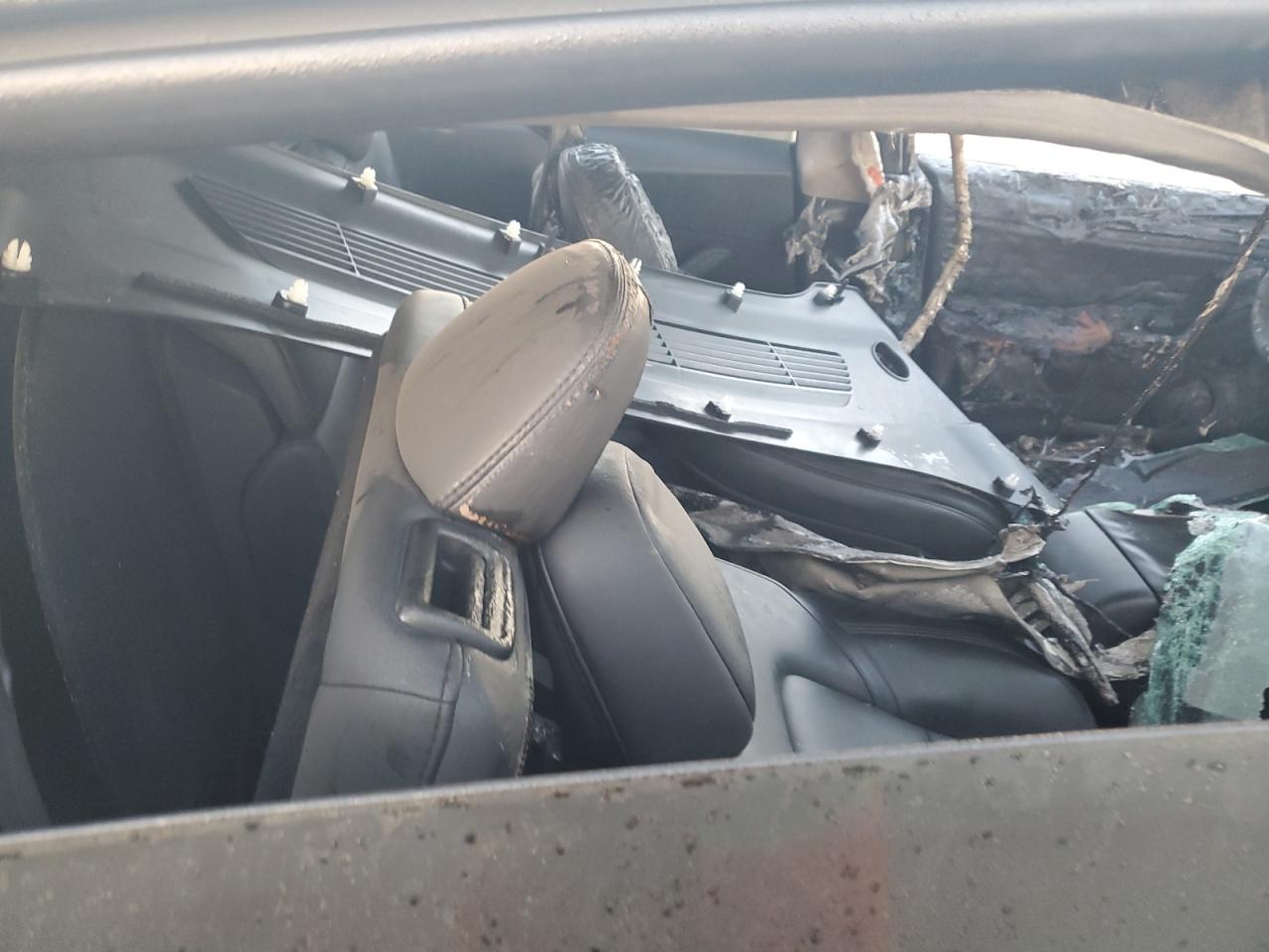 2024 TESLA MODEL Y  VIN:7SAYGDEE4RA223599