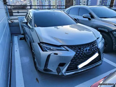 2019 Lexus UX 250 JTHY6JBH2K2001652 VIN:JTHY6JBH2K2001652