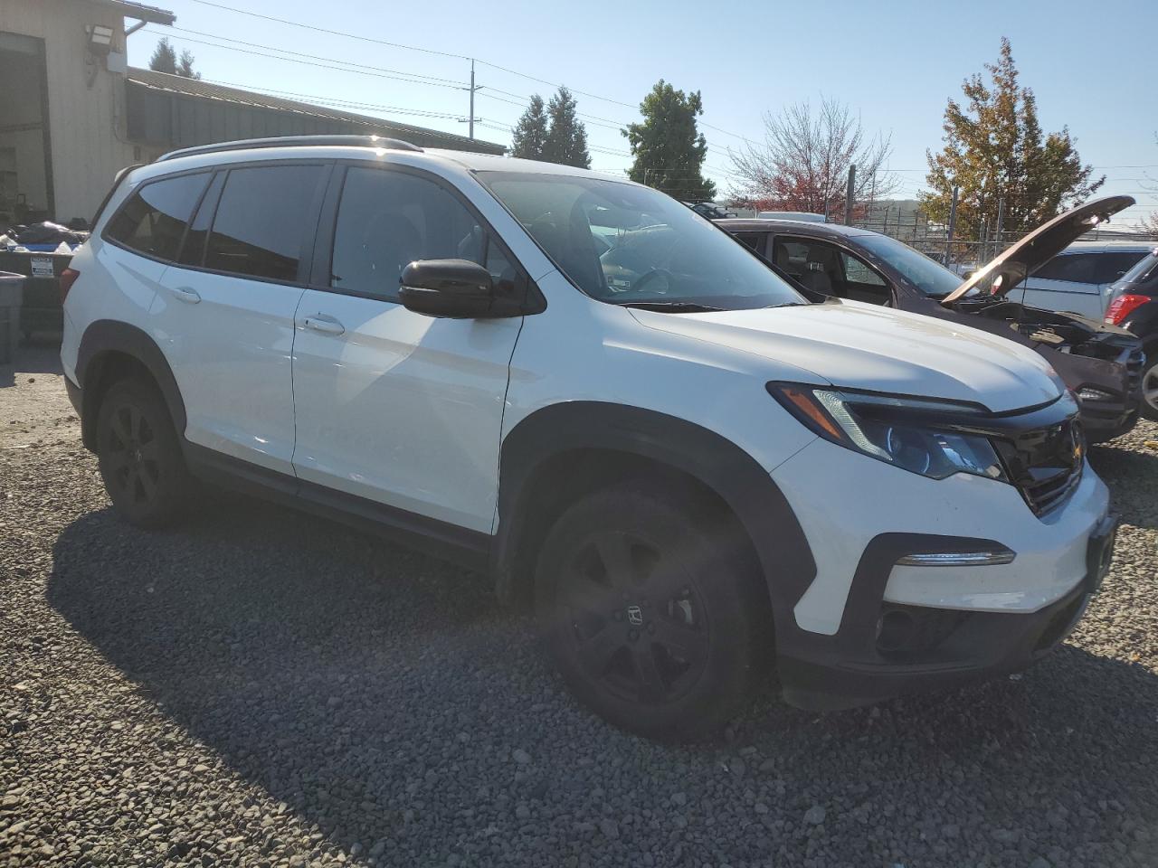 2022 HONDA PILOT TRAILSPORT VIN:5FNYF6H82NB044718
