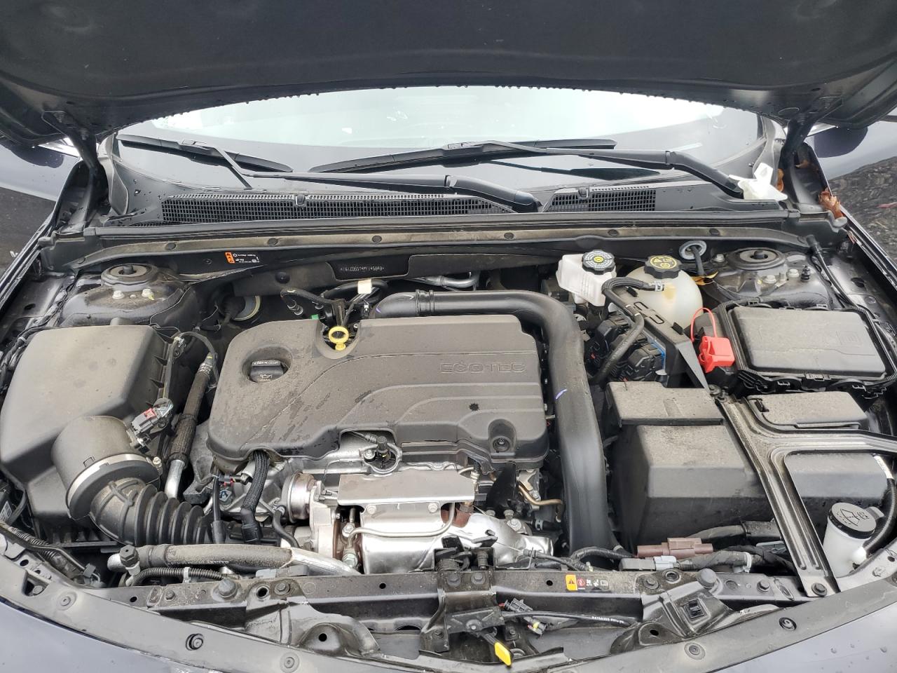 2023 CHEVROLET MALIBU LT VIN:1G1ZD5ST4PF145848