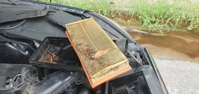 2016 Mercedes-Benz S 500 WDDUG8FB2GA247194 VIN:WDDUG8FB2GA247194