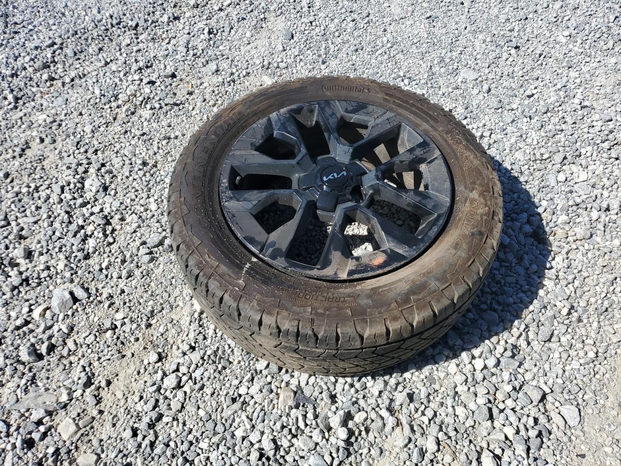 2023 KIA TELLURIDE SX VIN:5XYP5DGC9PG410954