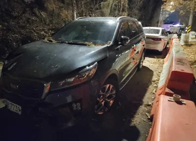 2020 Kia Sorento KNAPH811BLA625428 VIN:KNAPH811BLA625428