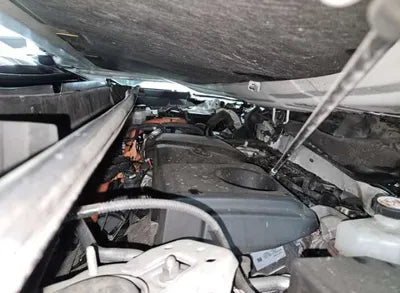 2019 Toyota RAV4 VIN: