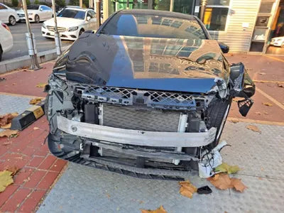 2020 Mercedes-Benz A 220 W1K3G4EB3LJ201809 VIN:W1K3G4EB3LJ201809