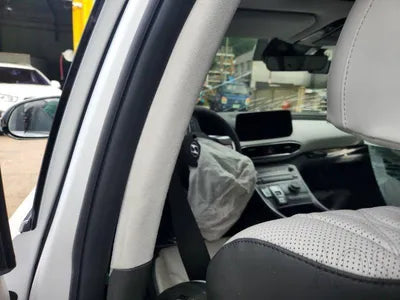 2020 Hyundai Santa FE KMHS581HHMU321463 VIN:KMHS581HHMU321463