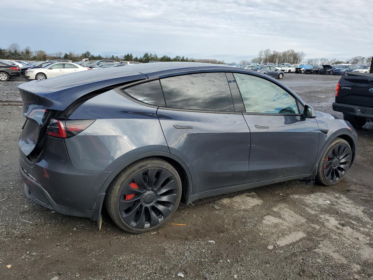 2022 TESLA MODEL Y  VIN:7SAYGDEF9NF521605