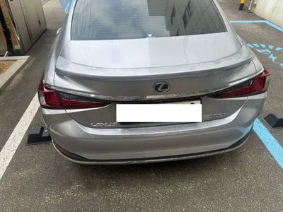 2022 Lexus ES 300 JTHBA1C14N2007480 VIN:JTHBA1C14N2007480