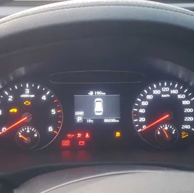 2019 Kia Sorento KNAPH81BBKA516242 VIN:KNAPH81BBKA516242