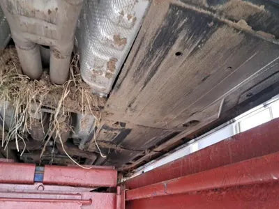 2020 Genesis G80 VIN: