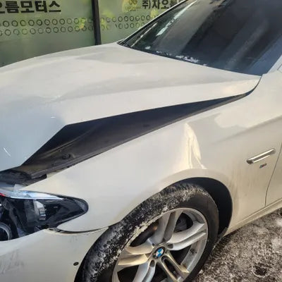 2016 BMW 520 WBA5E7100GG566060 VIN:WBA5E7100GG566060