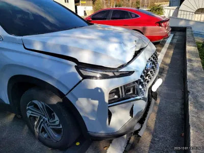 2021 Hyundai Santa FE KMHS281HGMU329617 VIN:KMHS281HGMU329617