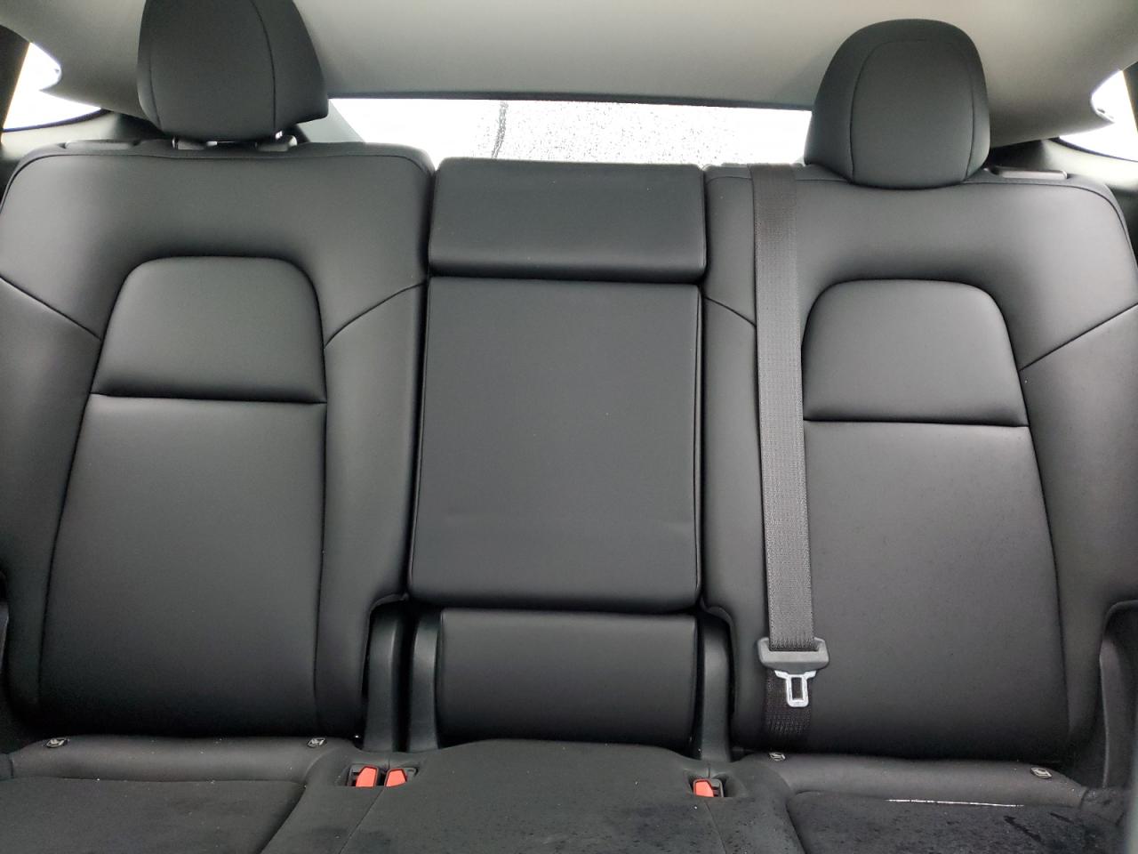 2024 TESLA MODEL Y  VIN:7SAYGDEE8RF167265