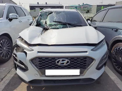 2018 Hyundai Kona KMHK3816GJU144236 VIN:KMHK3816GJU144236