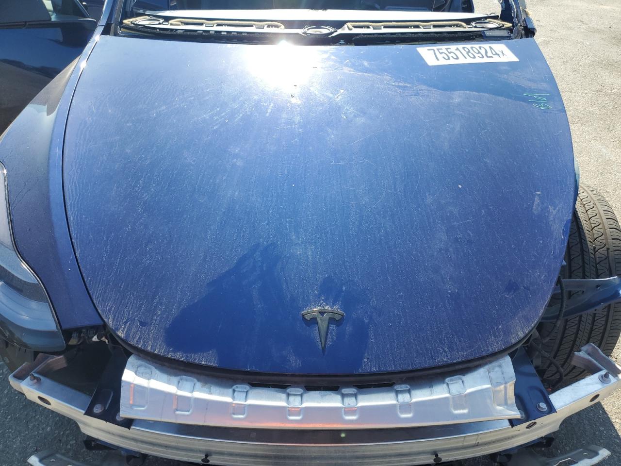 2023 TESLA MODEL Y VIN:7SAYGDEE7PA066471